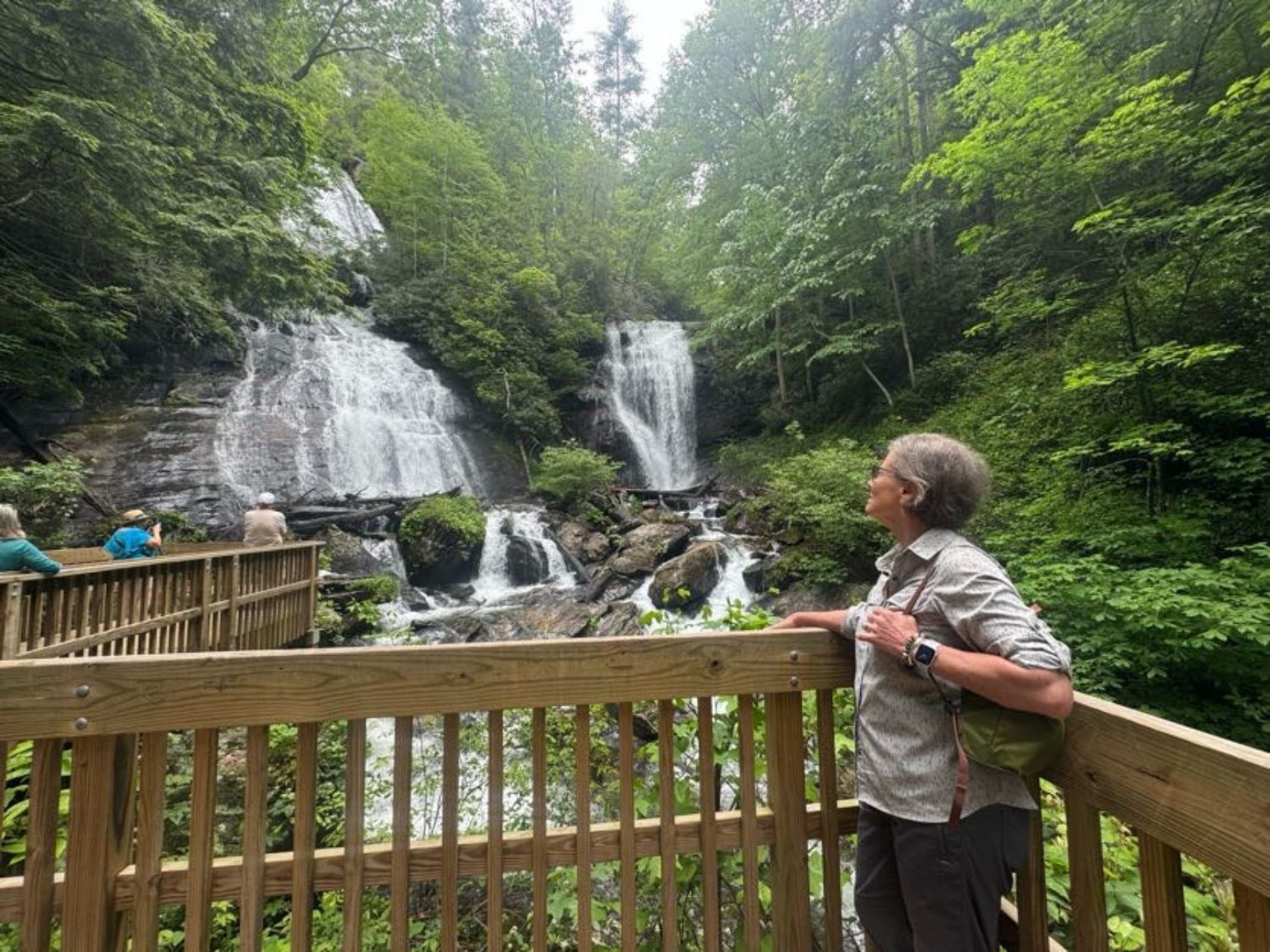 Picture of Waterfalls, Wildflowers, and Wineries