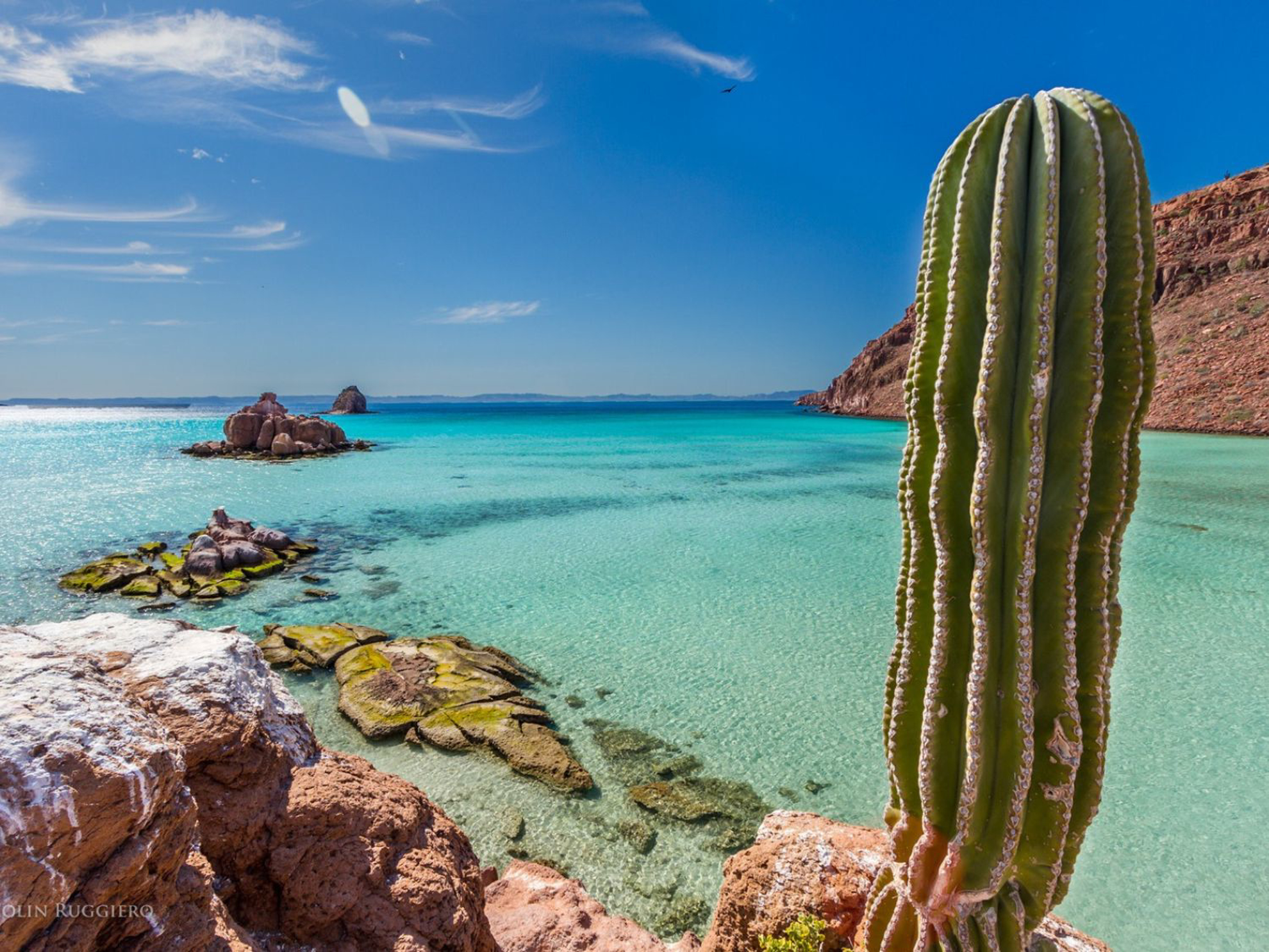 Picture of Baja Unplugged: An Island Escape on the Sea of Cortez