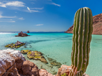 Picture of Baja Unplugged: An Island Escape on the Sea of Cortez