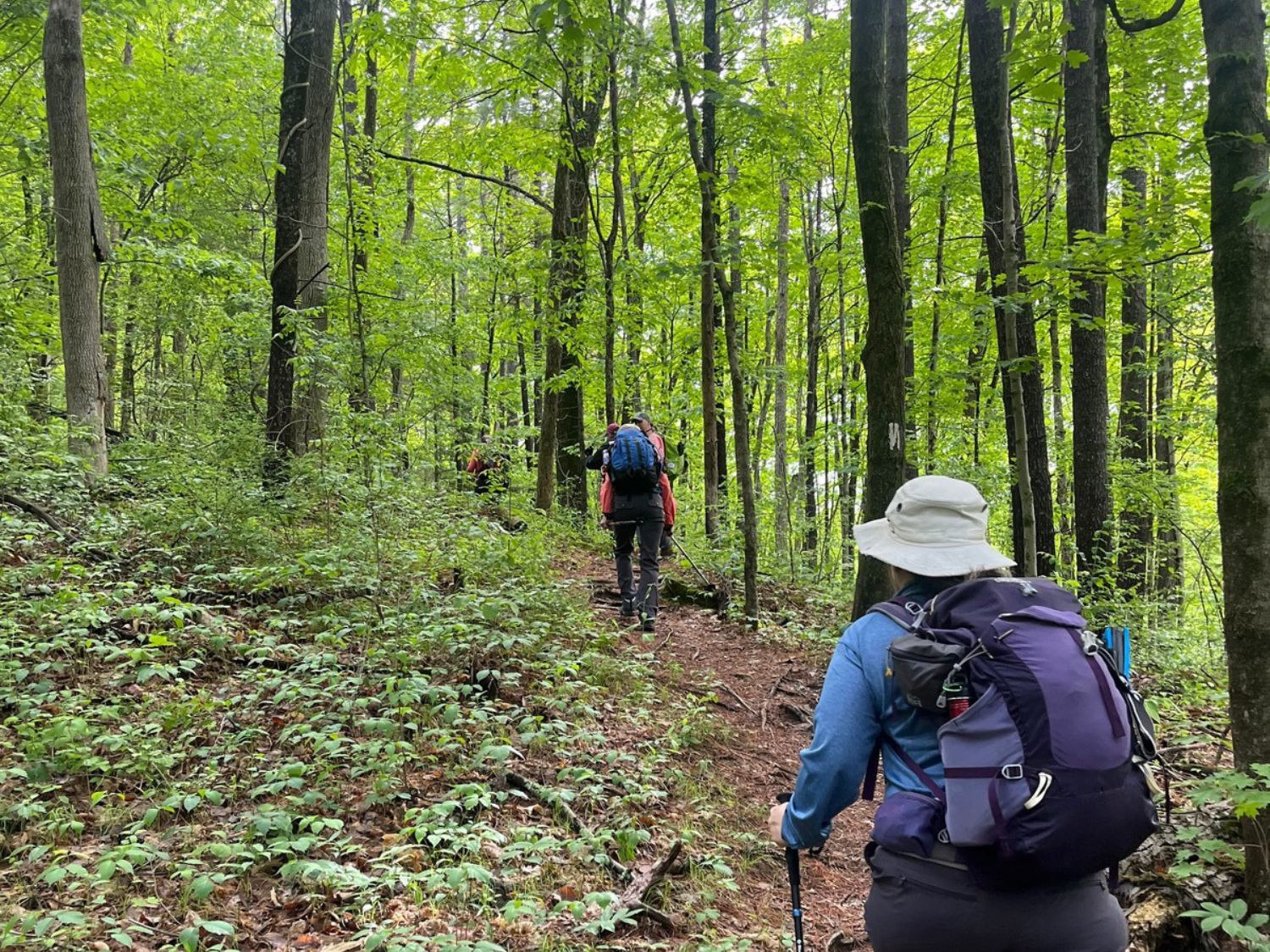 Picture of Slackpacking® the Appalachian Trail: Massachusetts