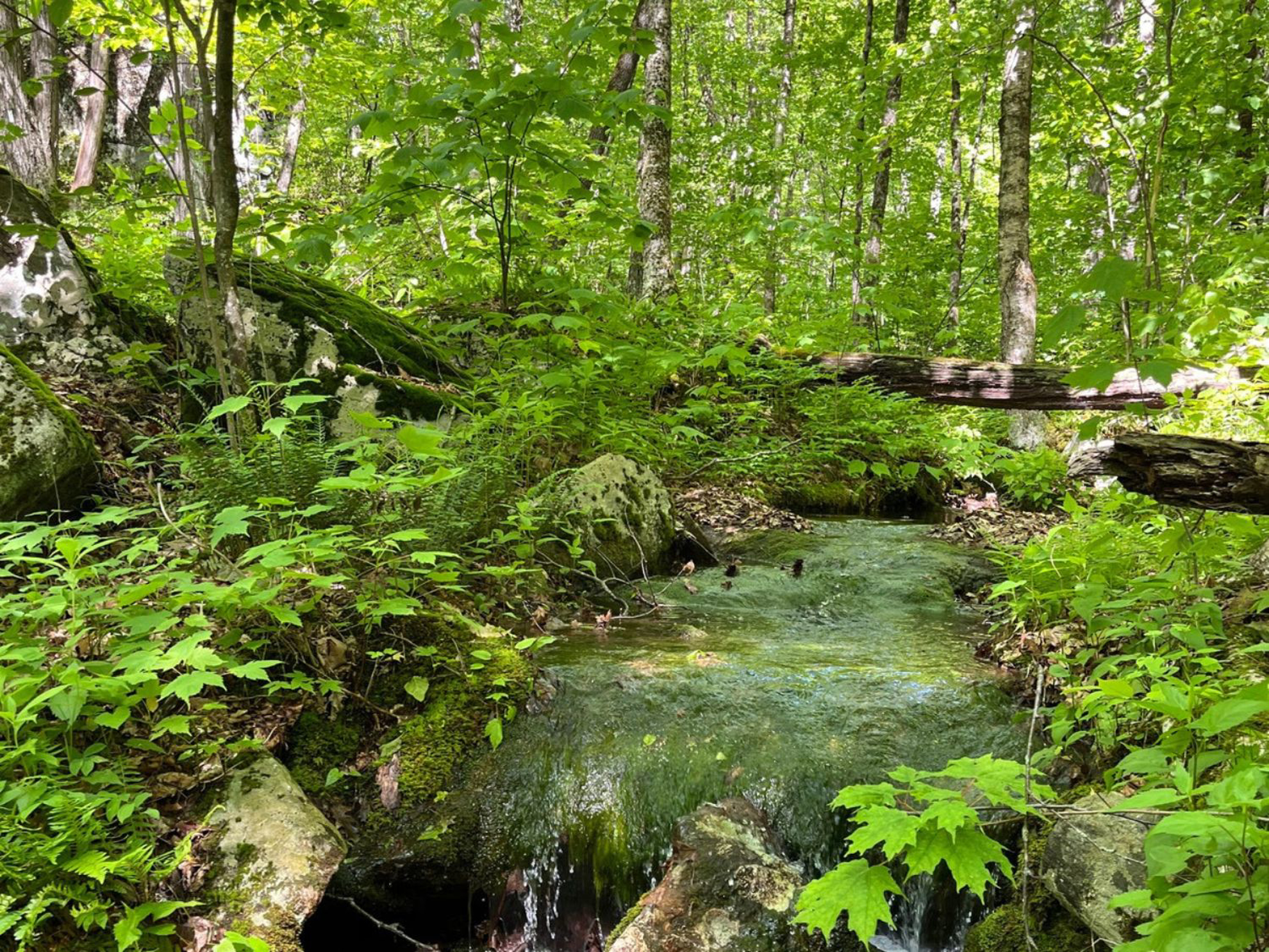 Picture of Slackpacking® Massachusetts