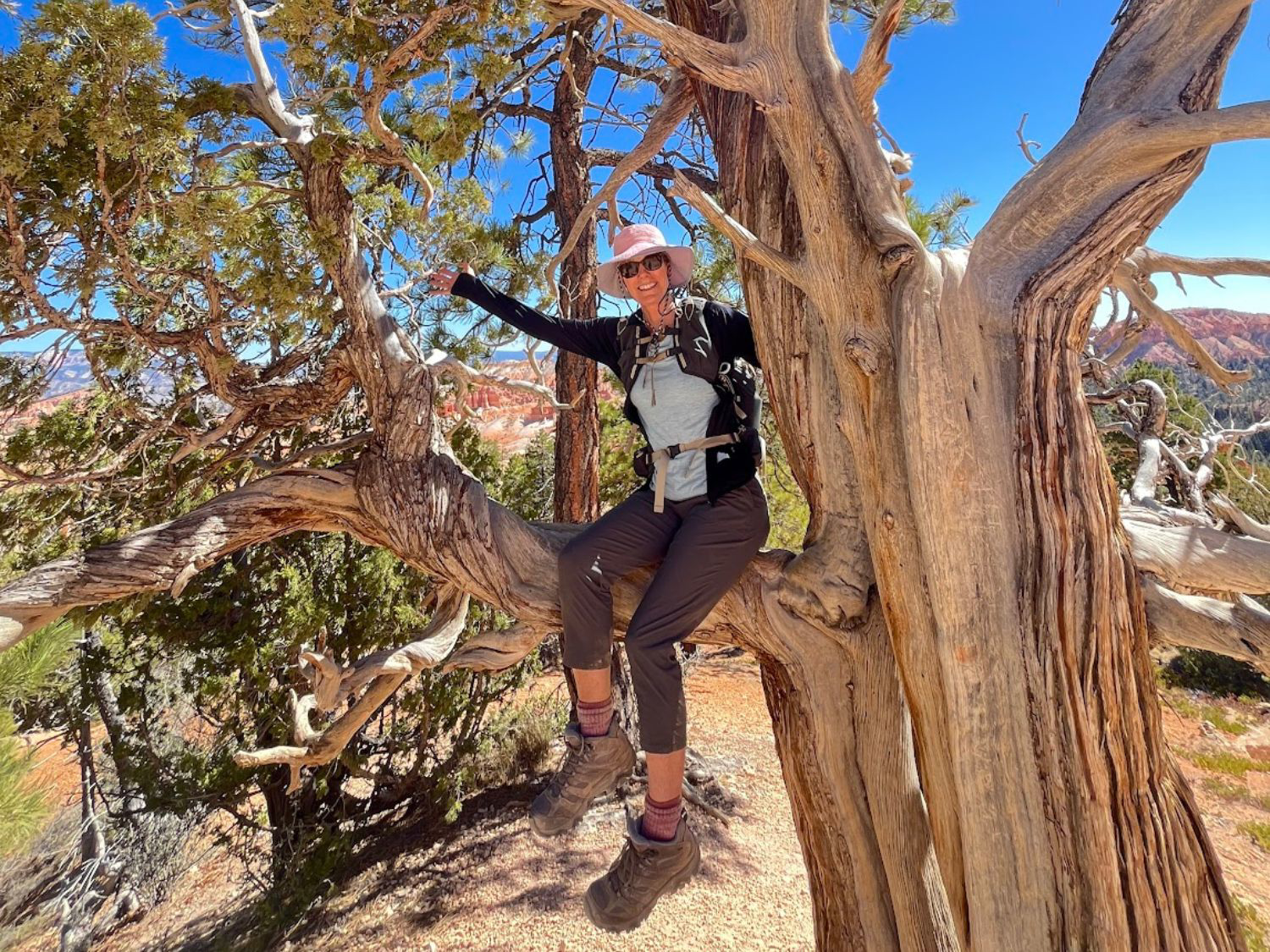 Picture of Hiking the Grand Staircase