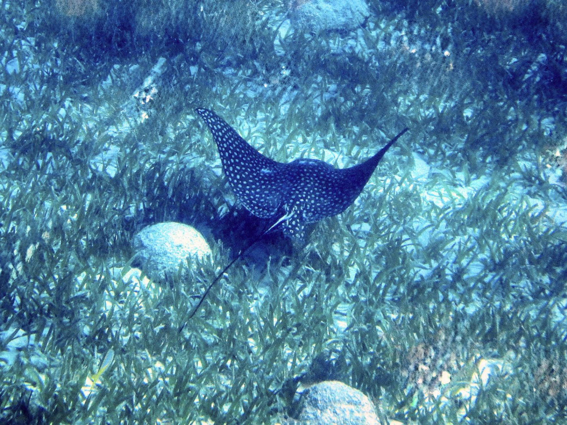 Picture of Best of Belize: Snorkeling, Kayaking & Culture