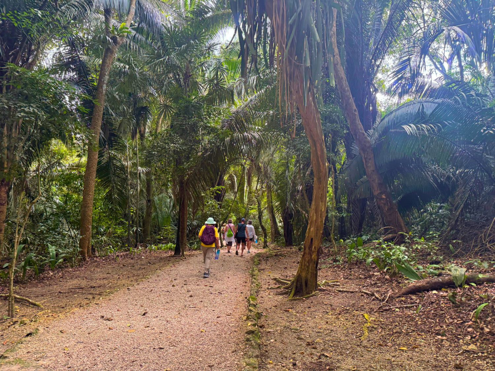 Picture of Best of Belize: Snorkeling, Kayaking & Culture