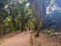 Picture of Best of Belize: Snorkeling, Kayaking & Culture