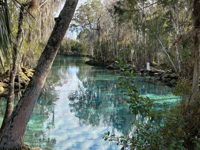 Picture of Paddling with Manatees