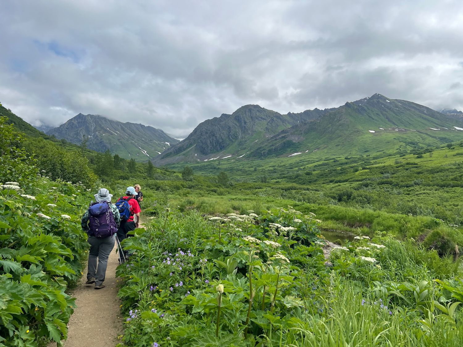 Picture of Alaska: From Anchorage to Fairbanks