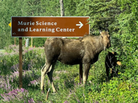 Picture of Alaska: From Anchorage to Fairbanks