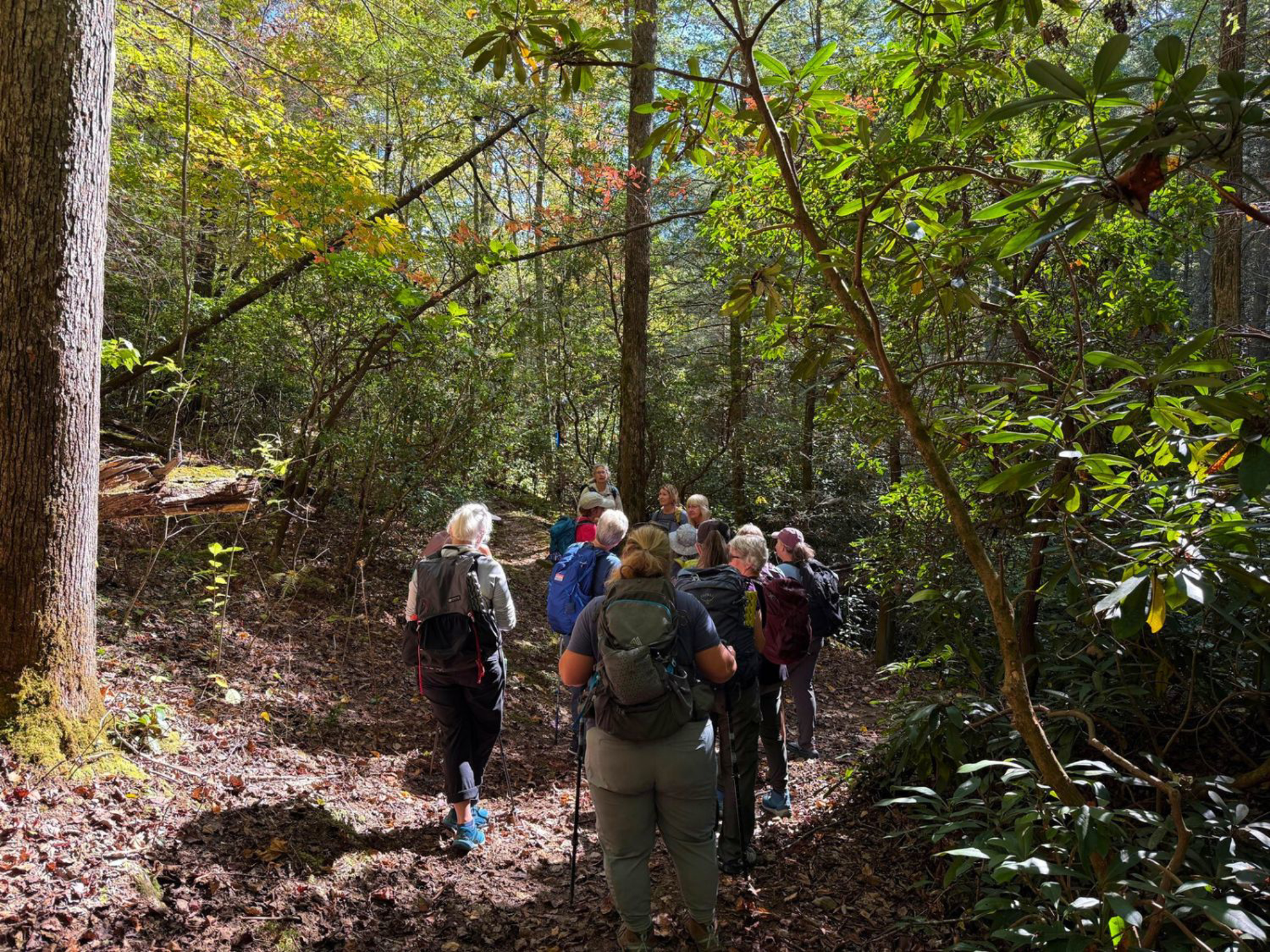 Picture of Exploring the Big South Fork