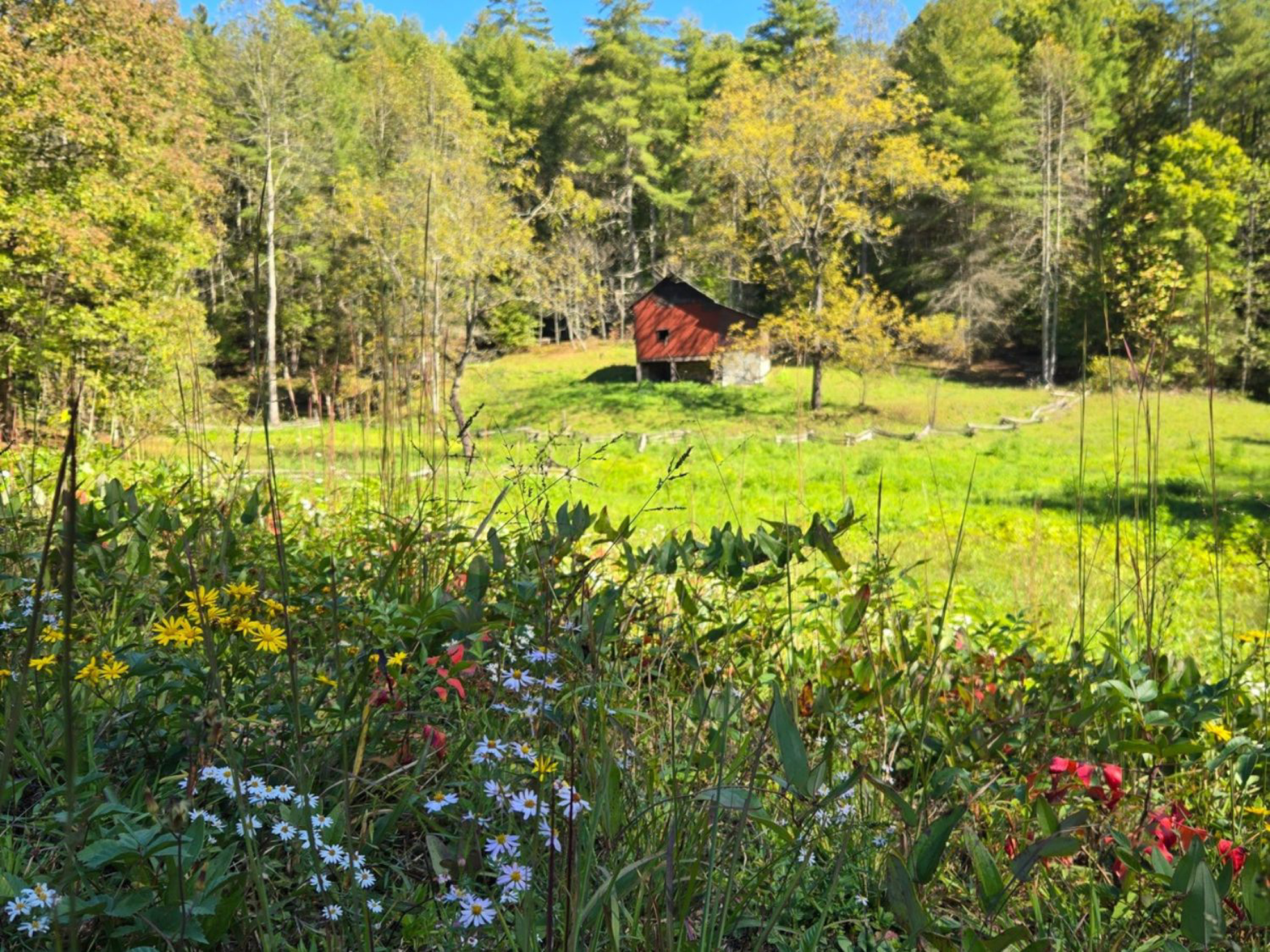 Picture of Exploring the Big South Fork