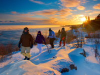 Picture of Dog Sledding and Winter Fun