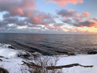 Picture of Dog Sledding and Winter Fun
