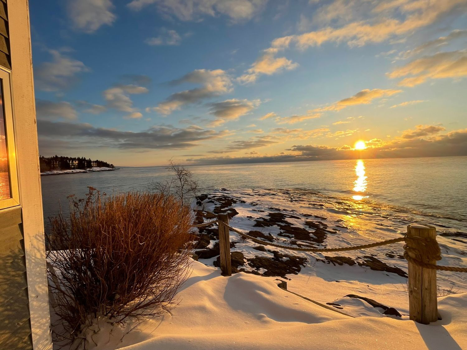 Picture of Dog Sledding and Winter Fun