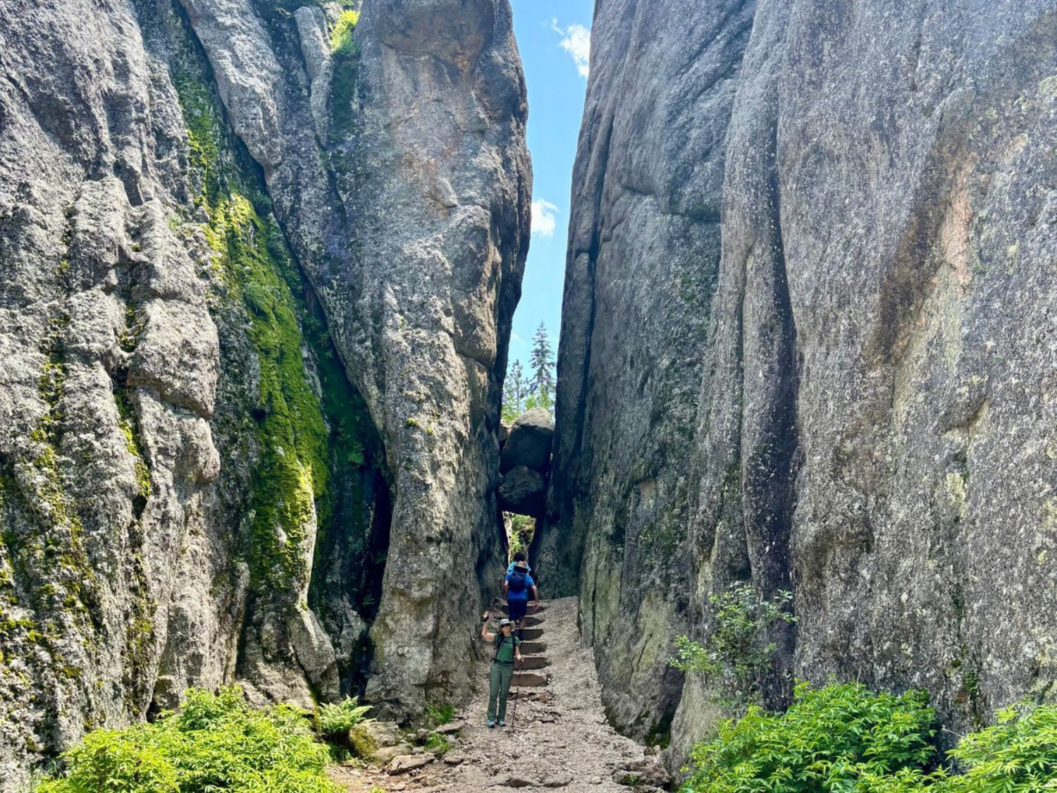Picture of South Dakota Hills and Thrills