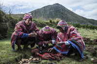 Picture of Peruvian Culture: Lares and the Lost City