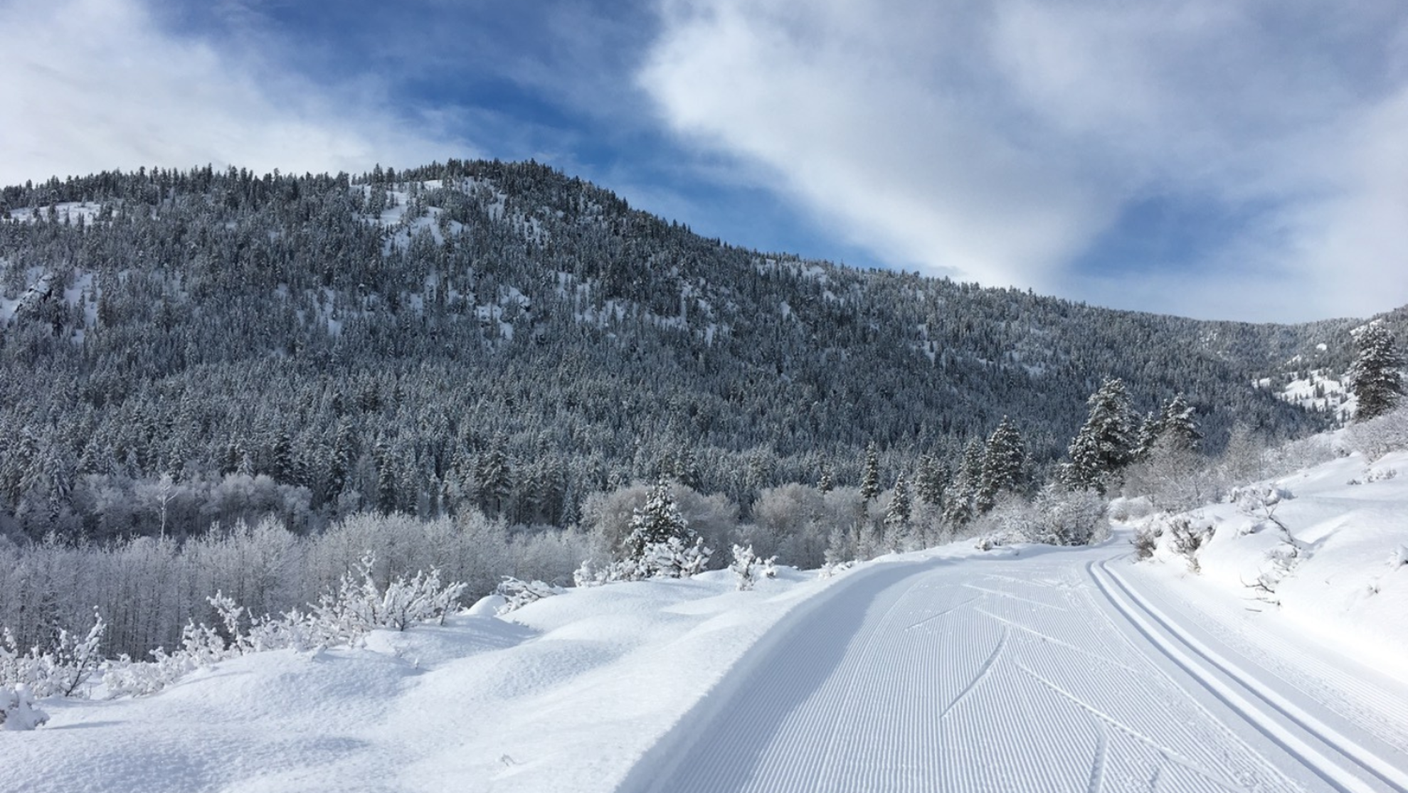 Picture of Winter Trails: North Cascades' Methow Valley