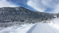 Picture of Winter Trails: North Cascades' Methow Valley
