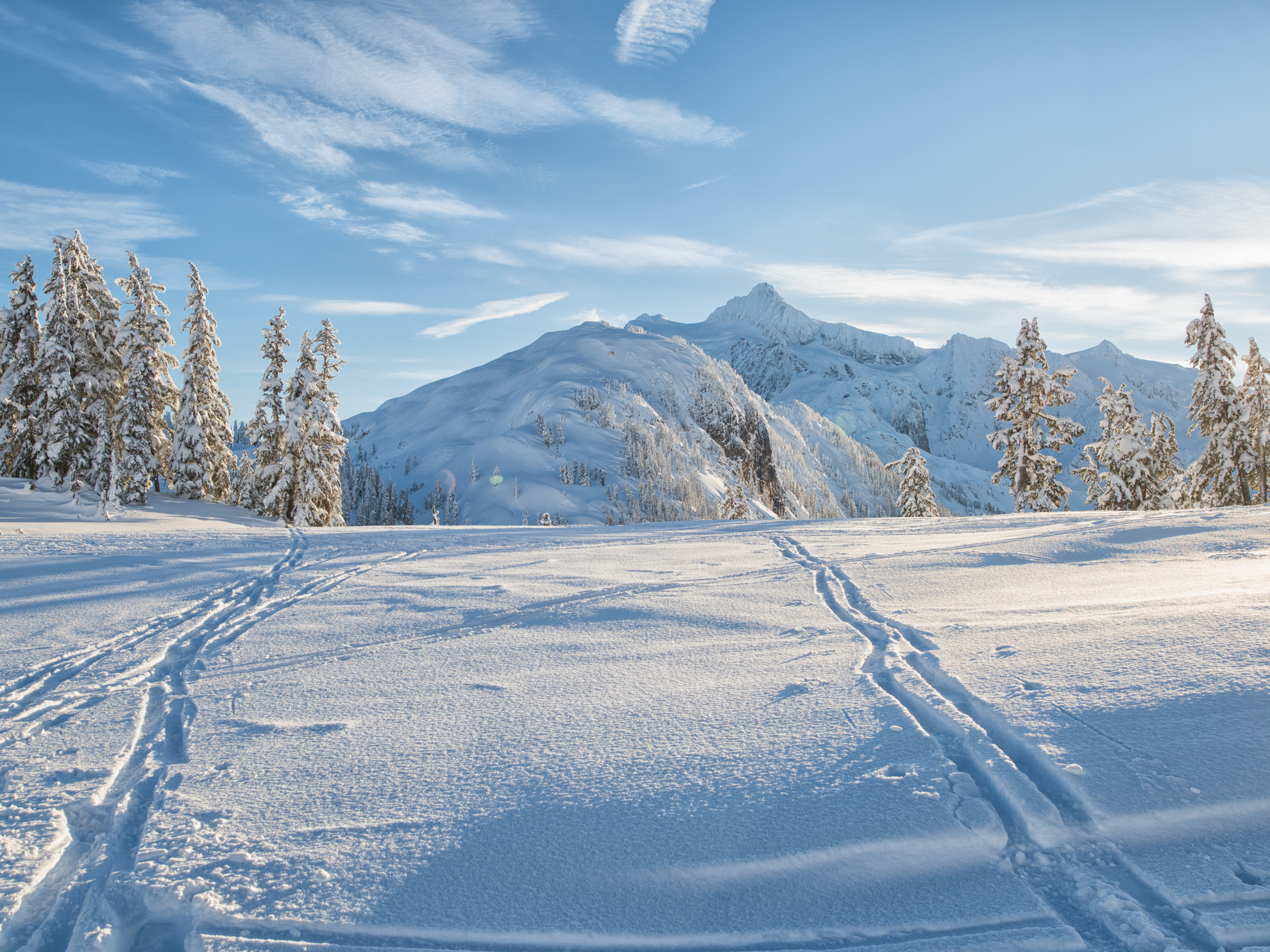 Picture of Winter Trails: North Cascades' Methow Valley