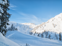 Picture of Winter Trails: North Cascades' Methow Valley
