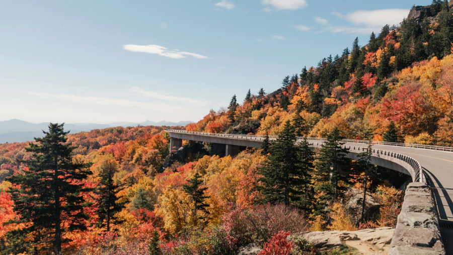 Blue Ridge Rambling