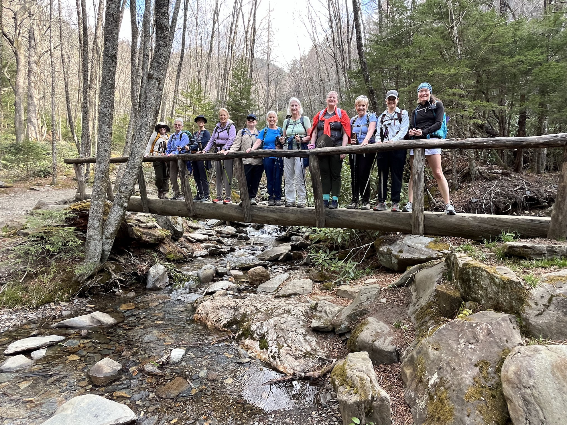 Picture of Wildflowers & Waterfalls: Exploring the Great Smokies