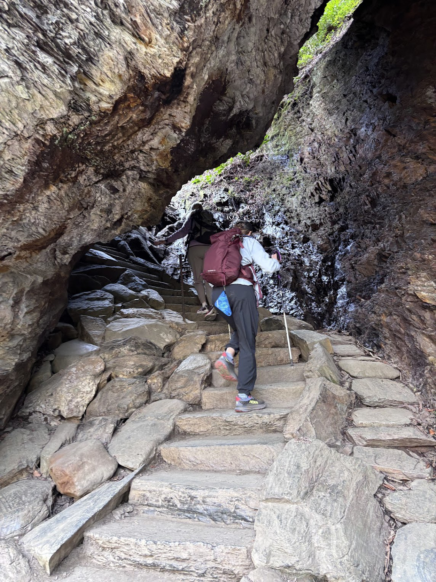 Picture of Wildflowers & Waterfalls: Exploring the Great Smokies