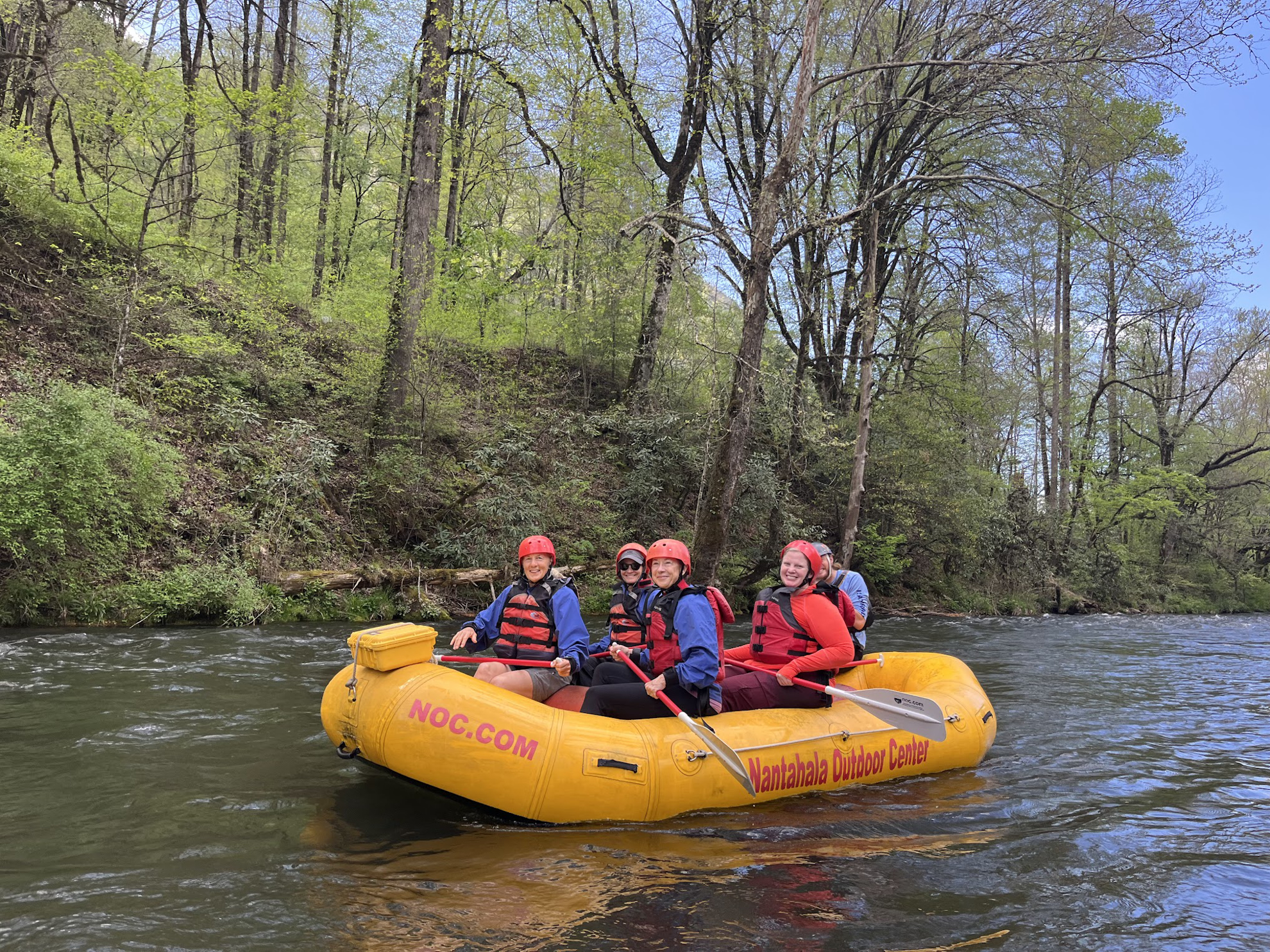 Picture of Wildflowers & Waterfalls: Exploring the Great Smokies
