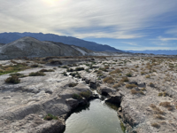 Picture of Desert Oasis Adventure: From Death Valley to Joshua Tree