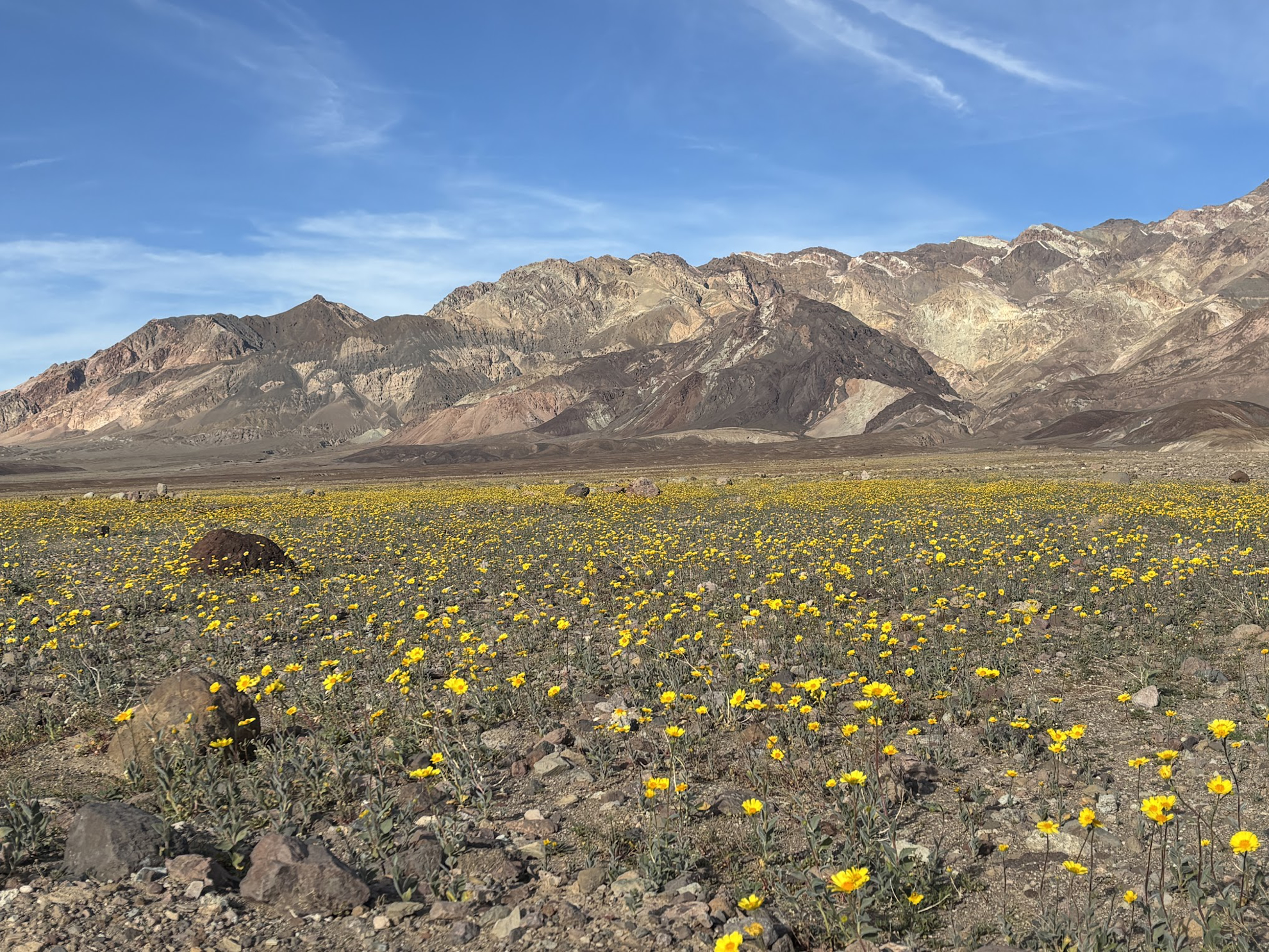 Picture of Desert Oasis Adventure: From Death Valley to Joshua Tree