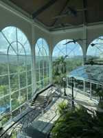 Picture of Paradise in Panama Wellness Retreat