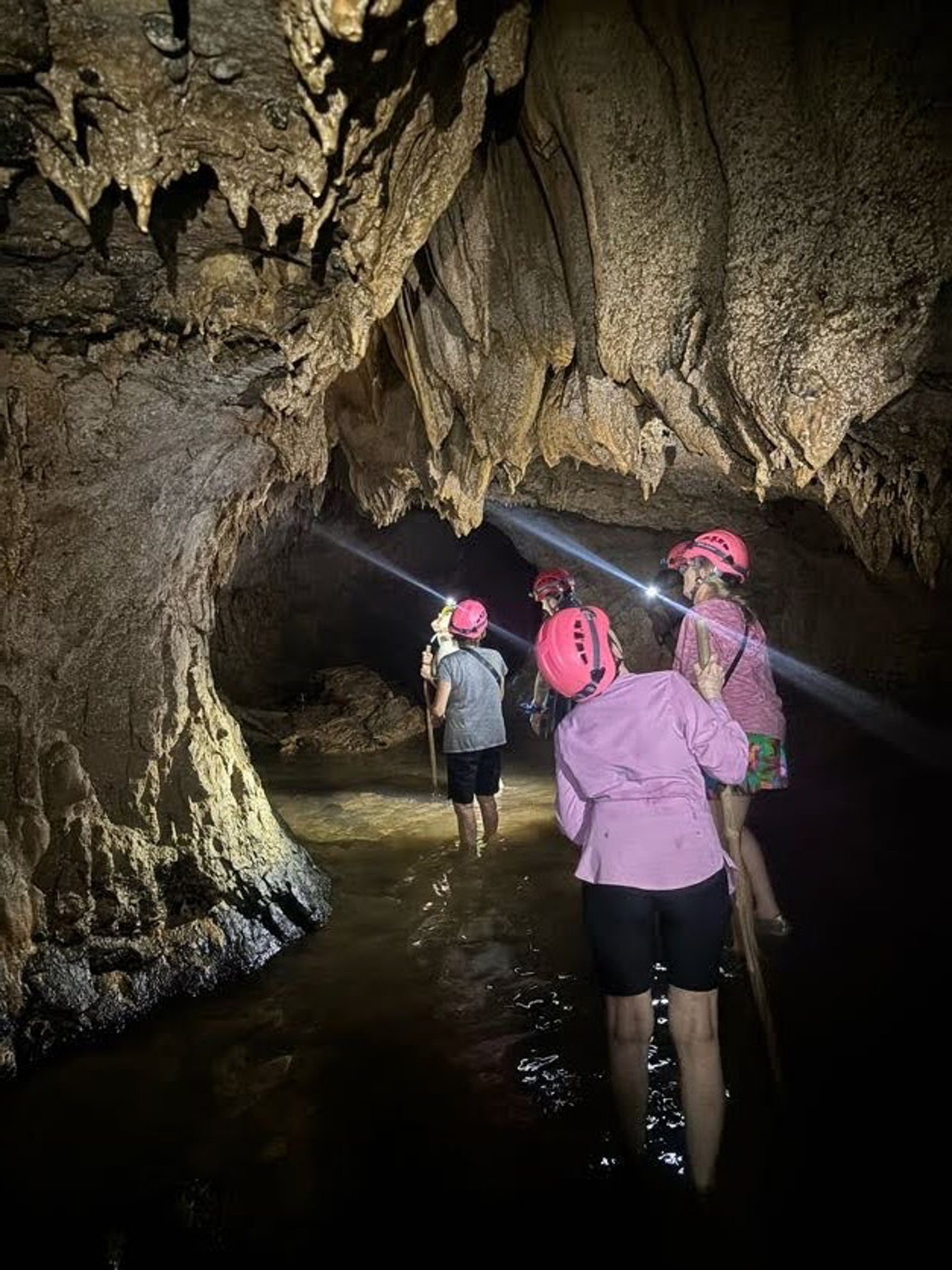 Picture of Paradise in Panama Wellness Retreat
