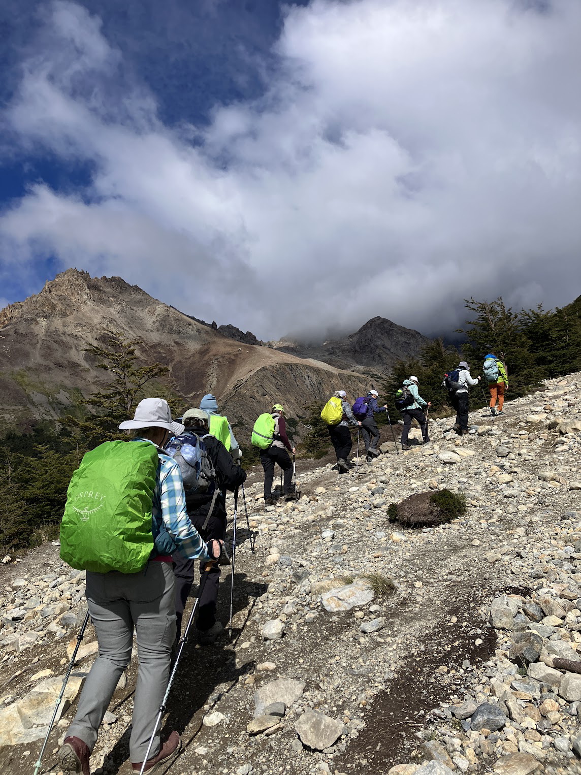 Picture of Echoes of the Andes: Argentina and Patagonia