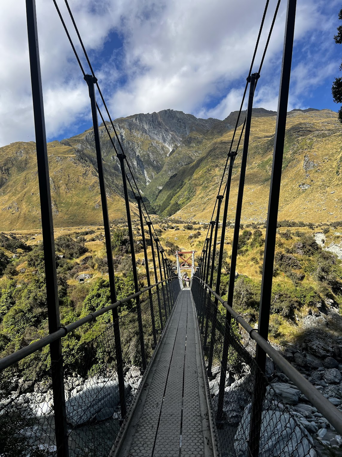 Picture of New Zealand's Wild Wonders: Southern Alps & National Parks
