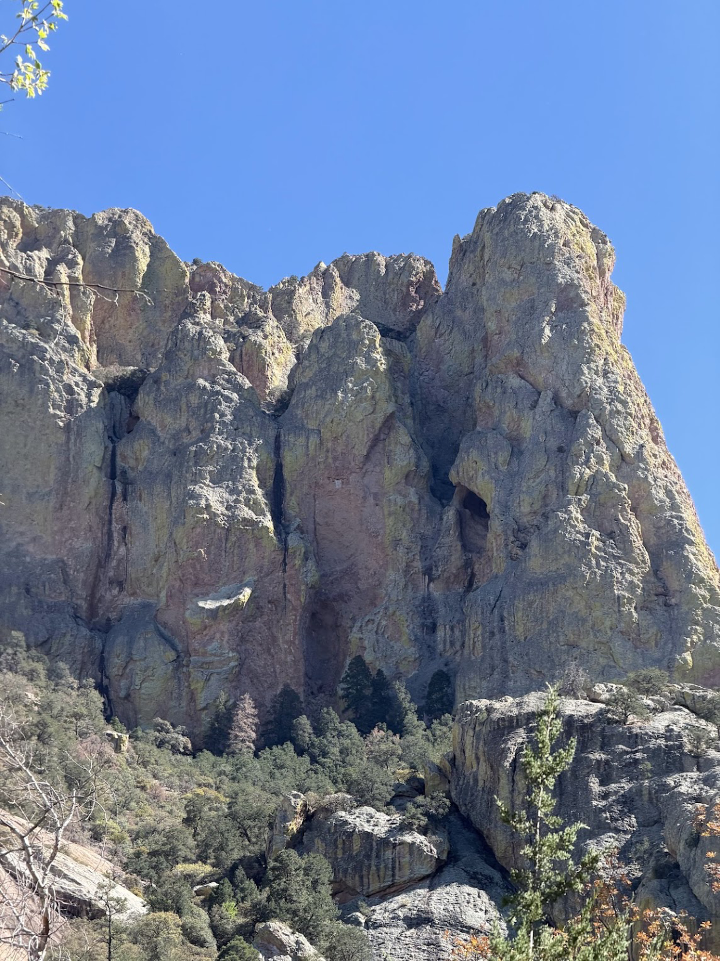 Picture of Desert Melodies: Intro to Birding and Hiking in Arizona