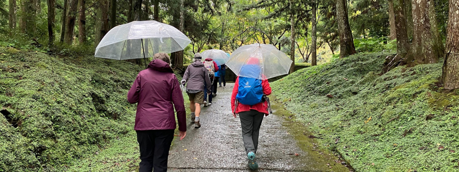 Rainy Day Hiking Tips: How to Stay Warm, Dry & Comfortable on the Trail