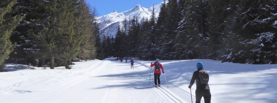 Why Cross-Country Skiing Is One of the Most Accessible Winter Sports to Try