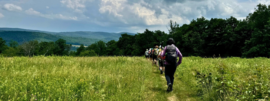 Hiking in the Heat: How to Stay Safe & Cool on the Trail