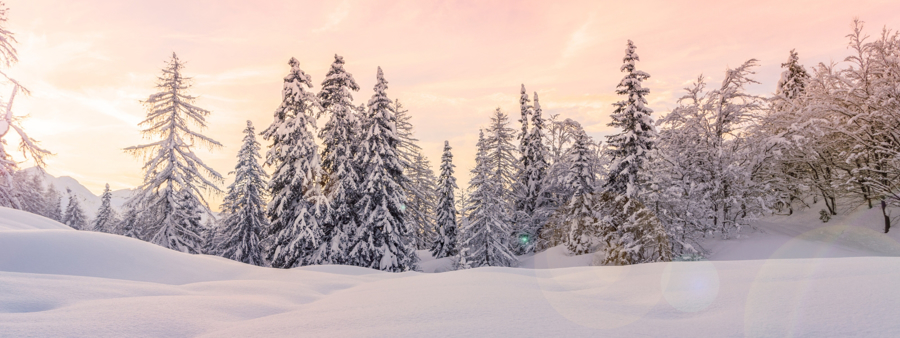 Winter Adventures for Women: Why Winter Travel Is Worth Experiencing