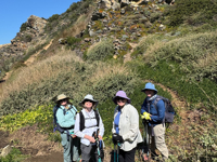 Picture of Portugal Coastal Hiking: Lisbon, Sintra & the Fisherman's Trail