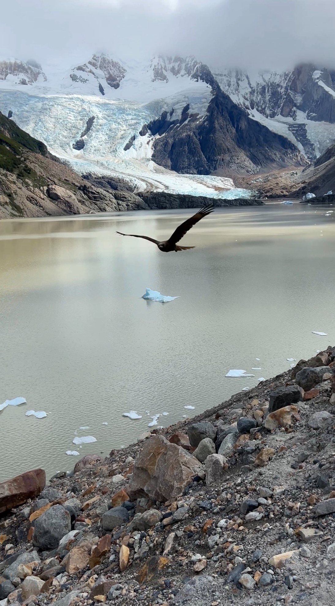 Picture of Echoes of the Andes: Argentina and Patagonia