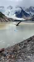 Picture of Echoes of the Andes: Argentina and Patagonia
