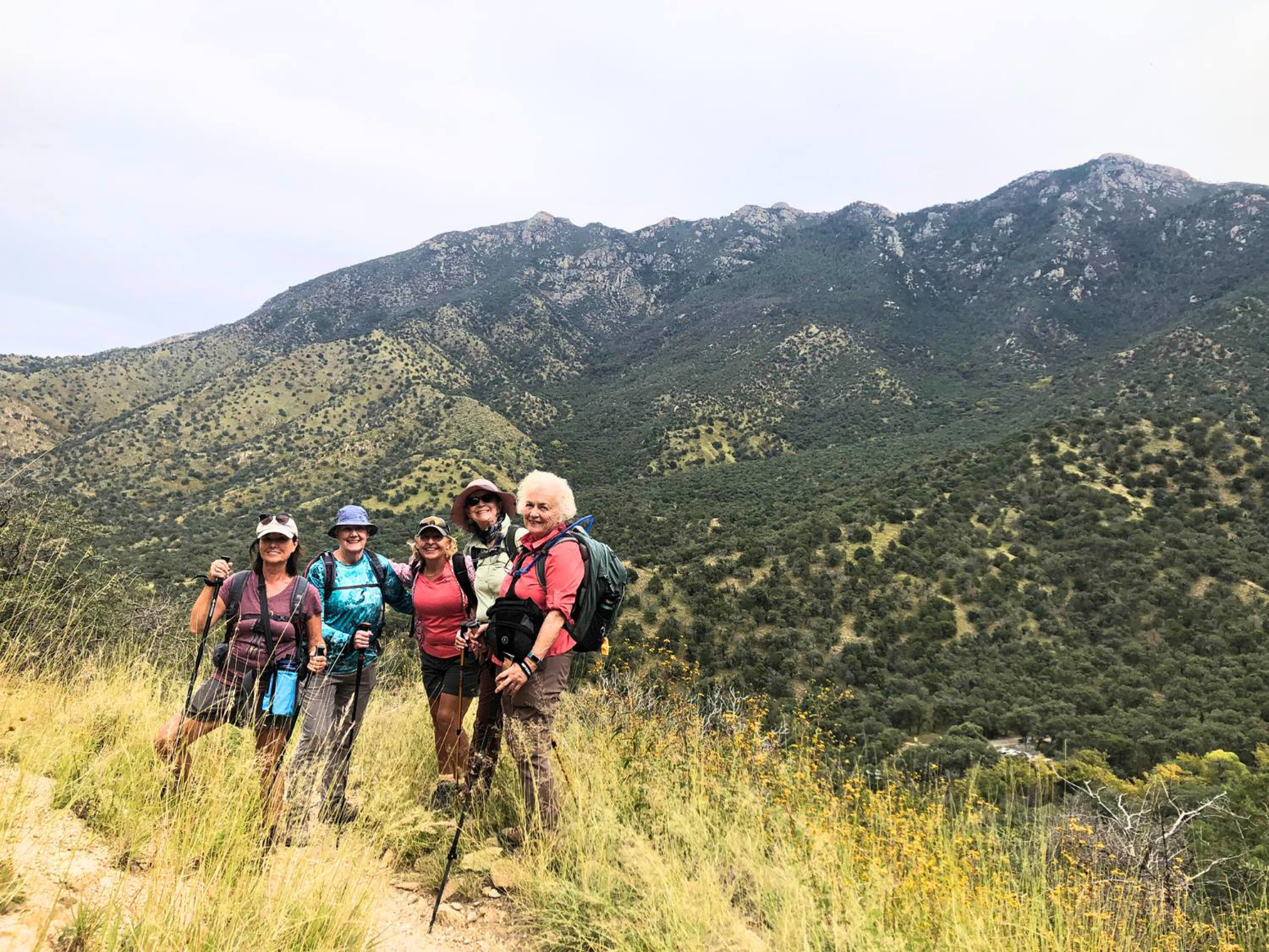 Picture of Desert Melodies: Intro to Birding and Hiking in Arizona
