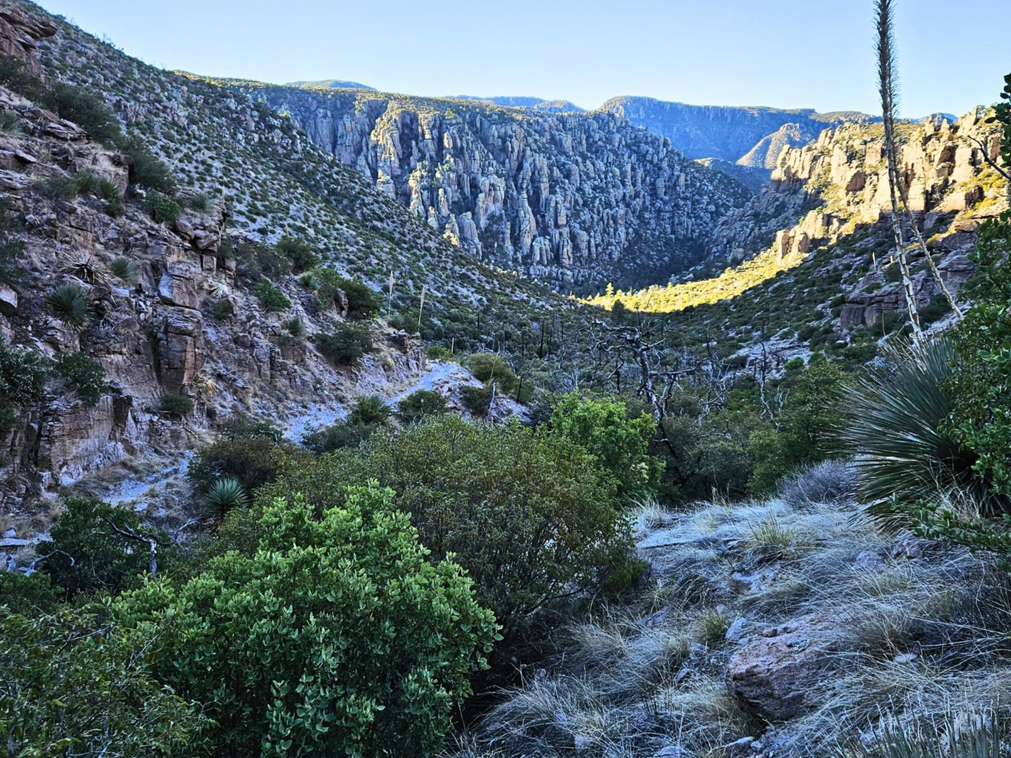 Picture of Desert Melodies: Intro to Birding and Hiking in Arizona