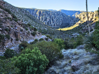 Picture of Desert Melodies: Intro to Birding and Hiking in Arizona