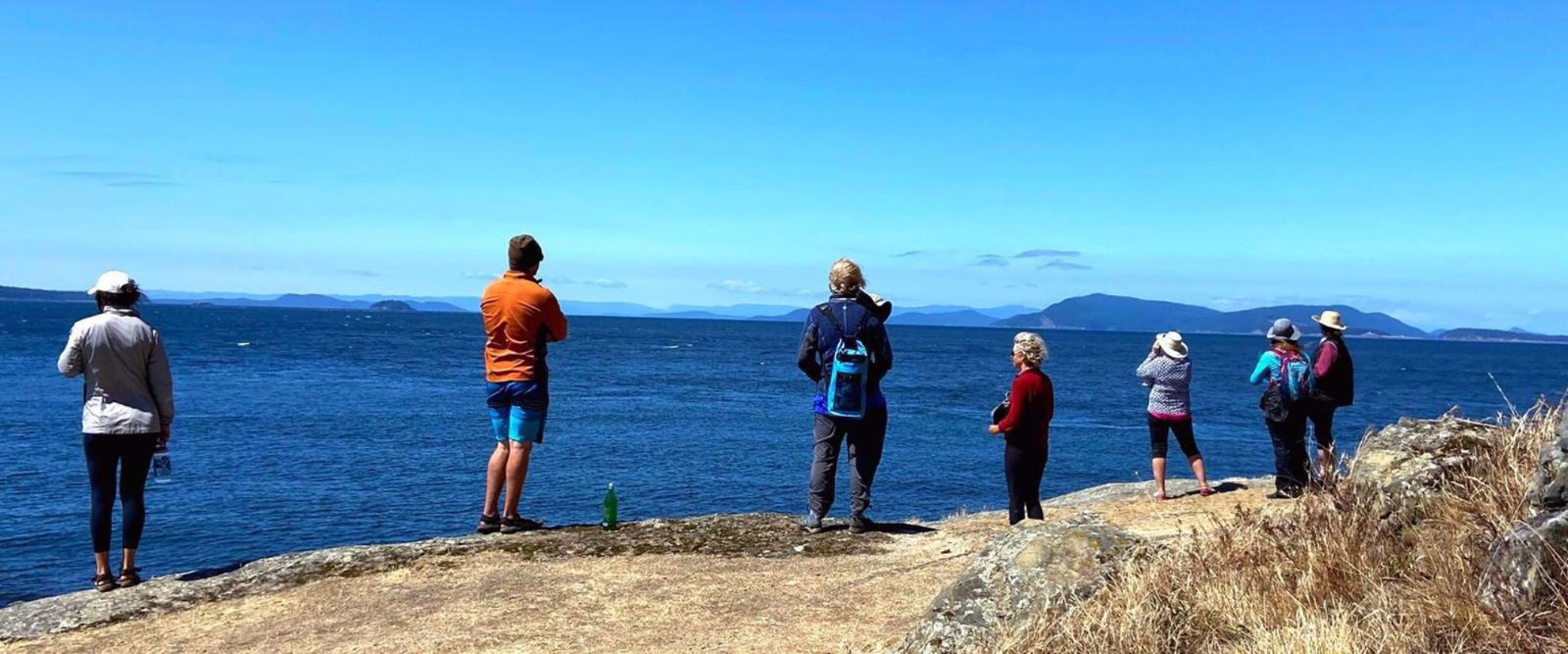 Picture of San Juan Islands Exploration