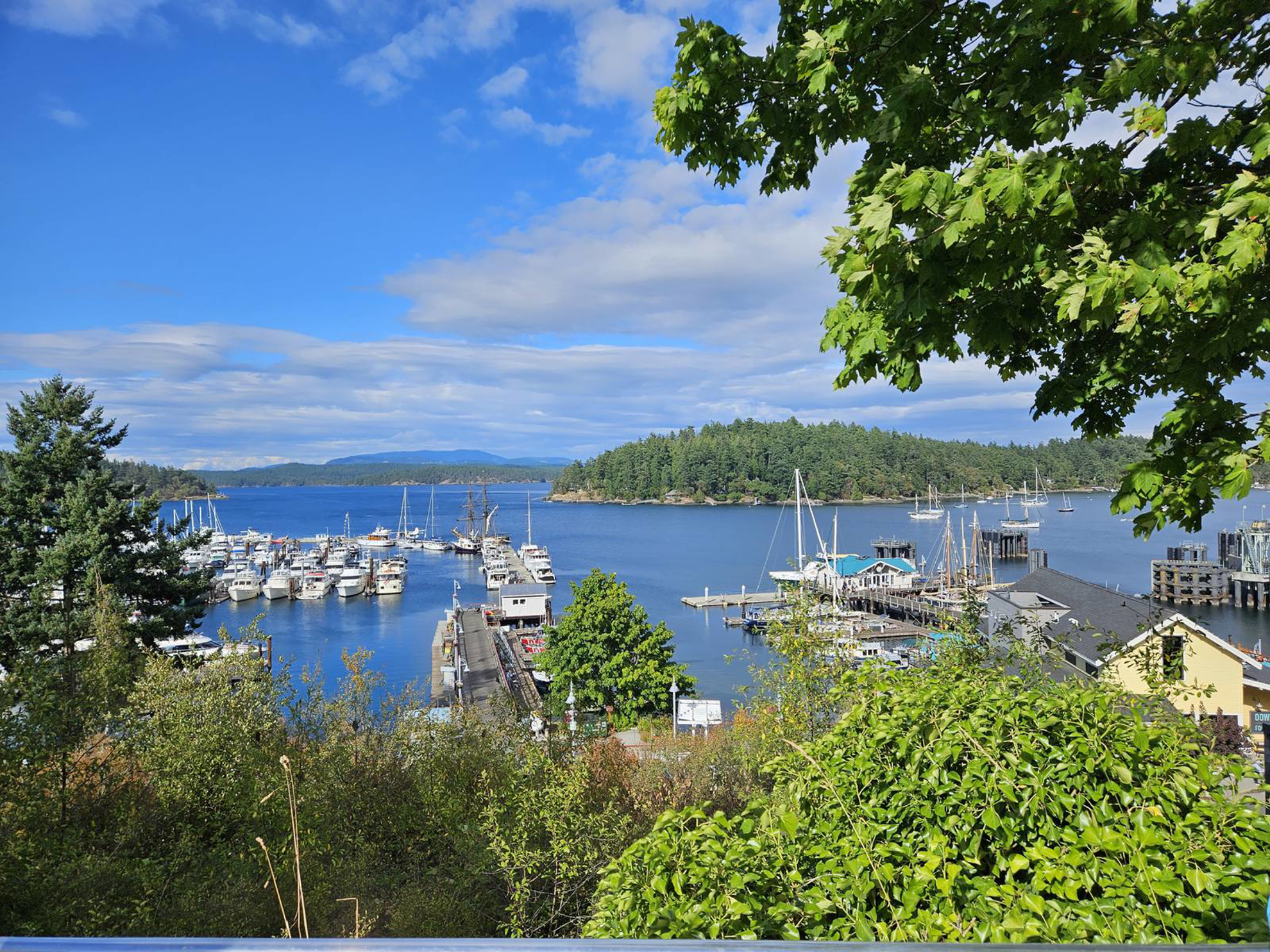 Picture of San Juan Islands Exploration