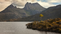 Picture of Australia: Sydney's Shores to Tasmania's Trails