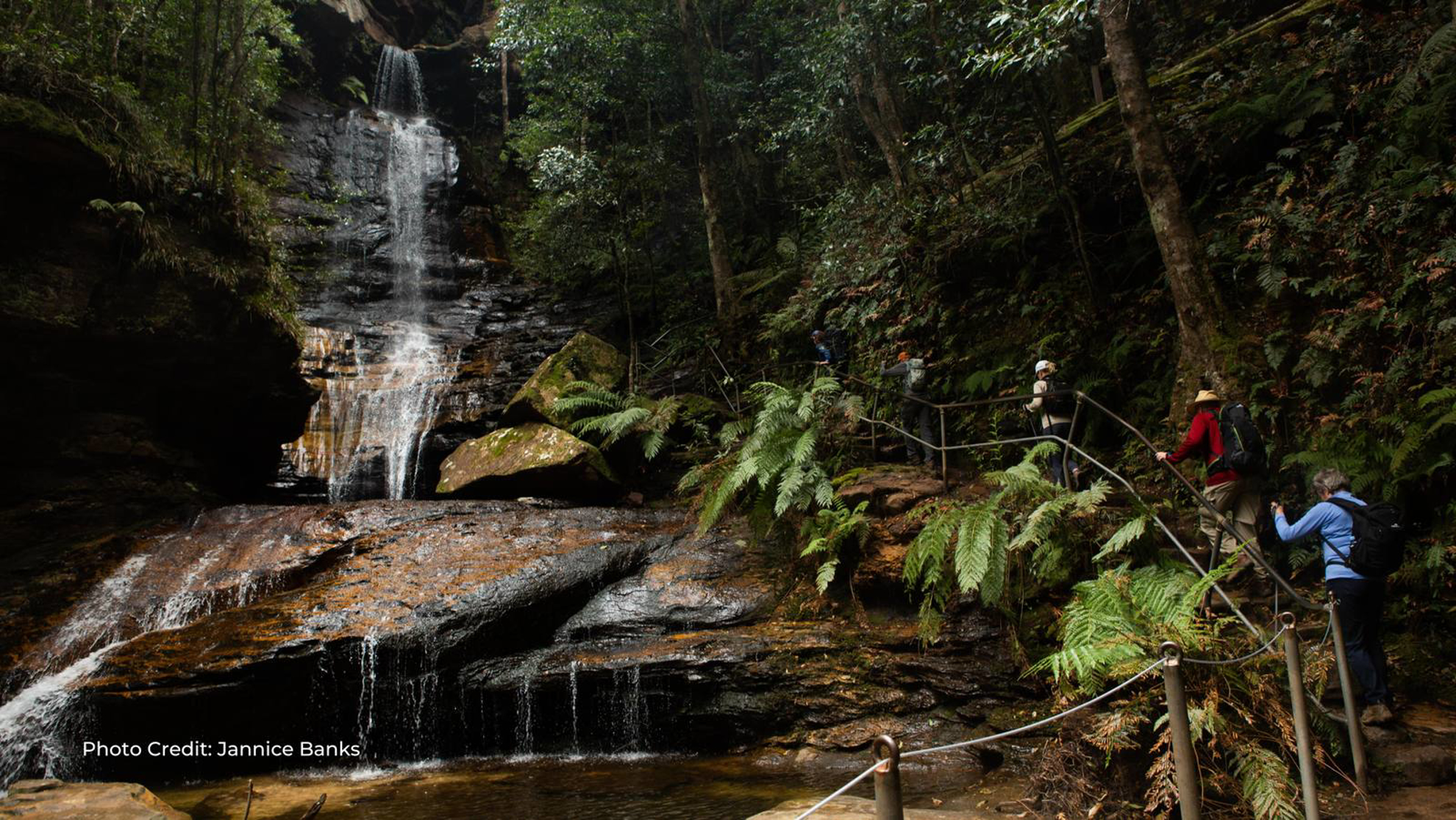Picture of Australia: Sydney's Shores to Tasmania's Trails