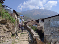 Picture of Trekking, Culture and Wildlife in Nepal