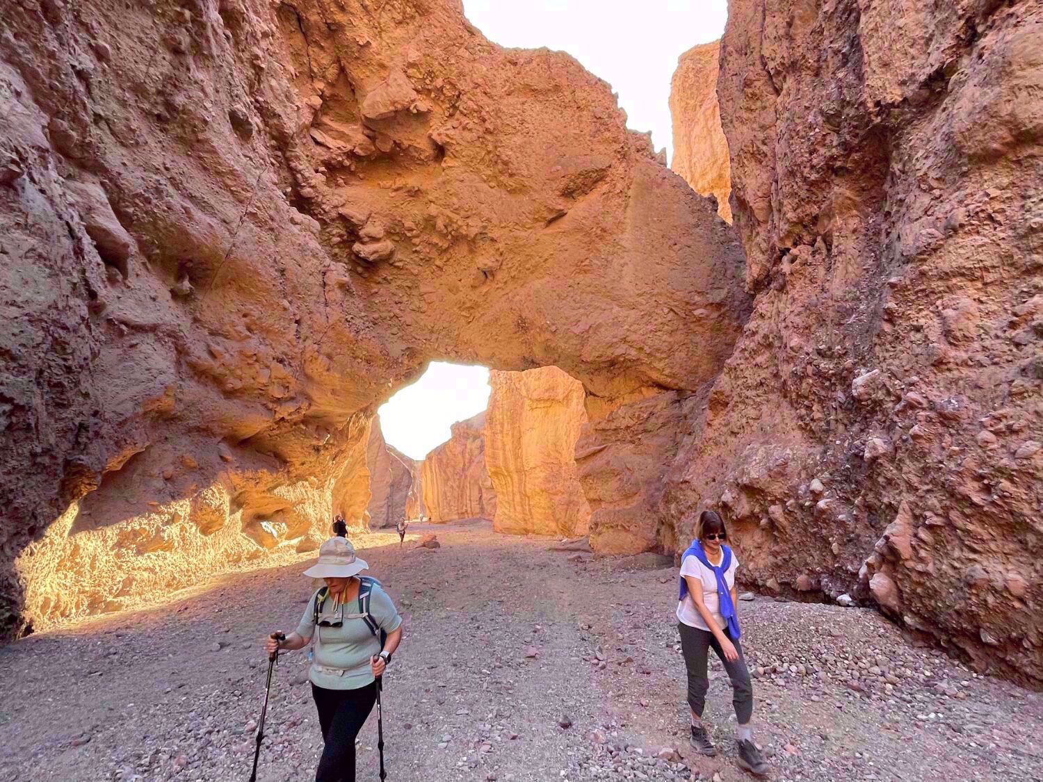 Picture of Desert Oasis Adventure: From Death Valley to Joshua Tree